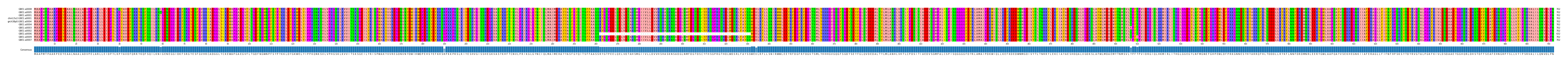 Multiple Alignments (by translate haplotype similarity)