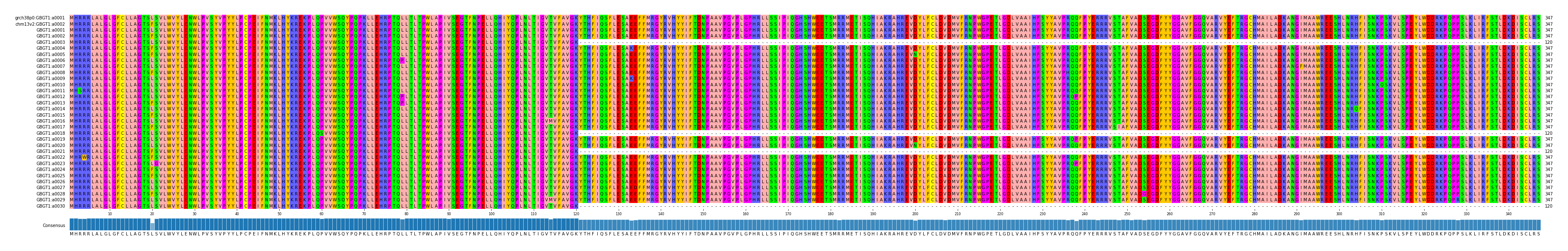 Multiple Alignments (by translate haplotype frequency)