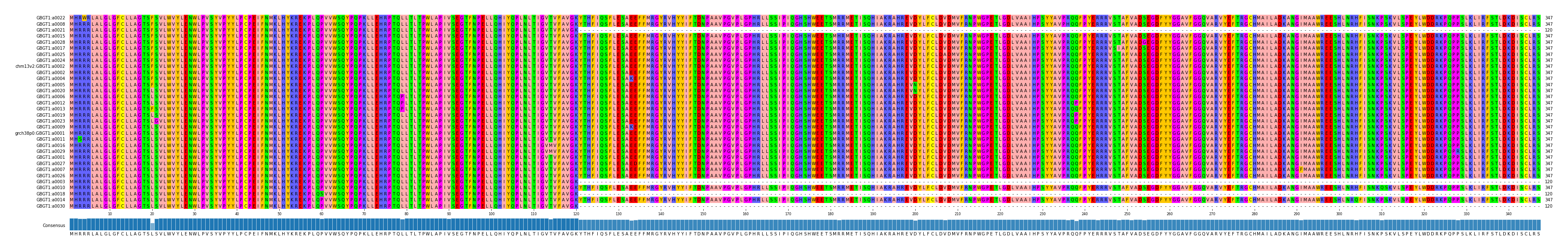 Multiple Alignments (by translate haplotype similarity)