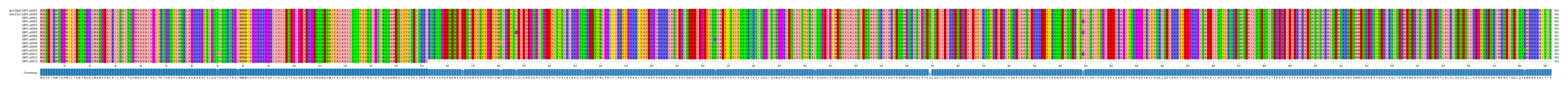 Multiple Alignments (by translate haplotype frequency)