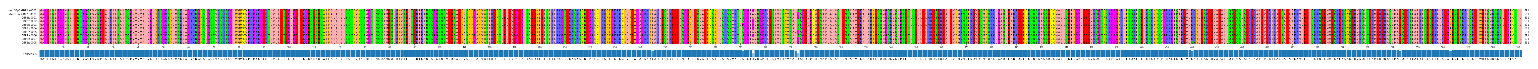 Multiple Alignments (by translate haplotype frequency)