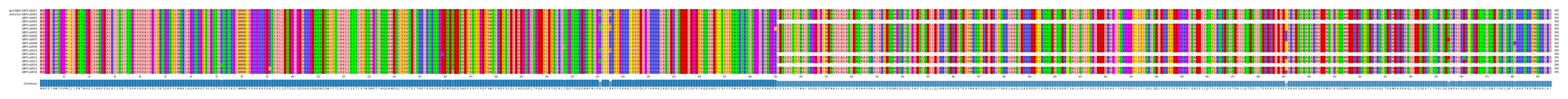 Multiple Alignments (by translate haplotype frequency)