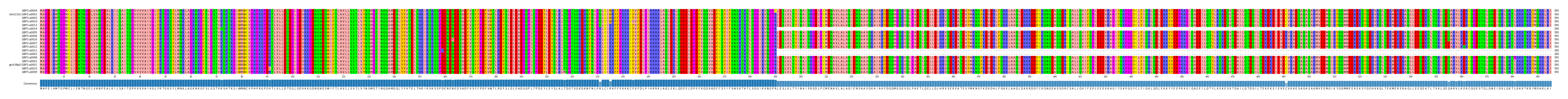 Multiple Alignments (by translate haplotype similarity)