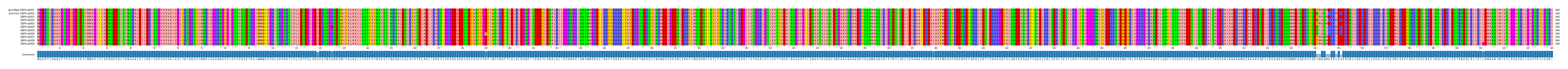 Multiple Alignments (by translate haplotype frequency)
