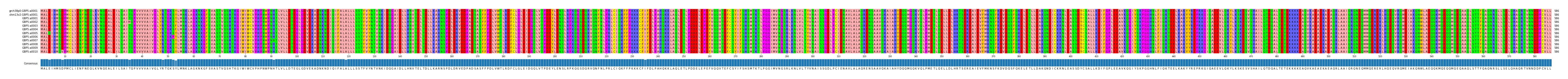 Multiple Alignments (by translate haplotype frequency)