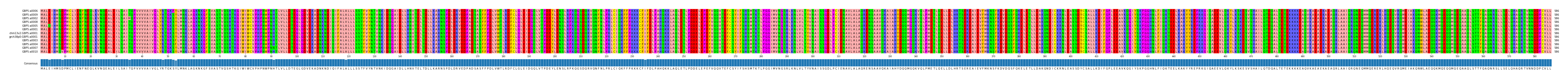 Multiple Alignments (by translate haplotype similarity)