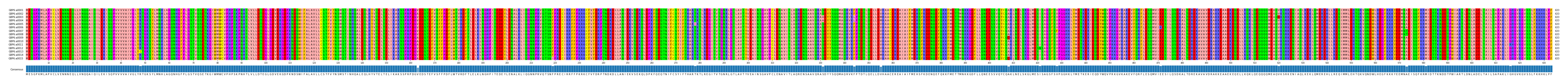 Multiple Alignments (by translate haplotype frequency)