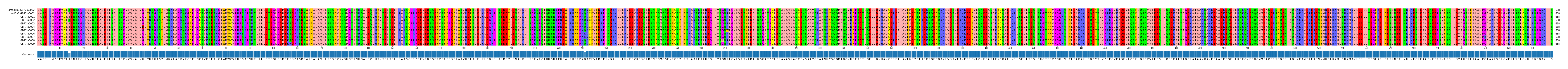 Multiple Alignments (by translate haplotype frequency)