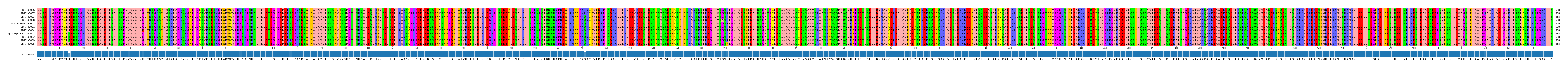 Multiple Alignments (by translate haplotype similarity)