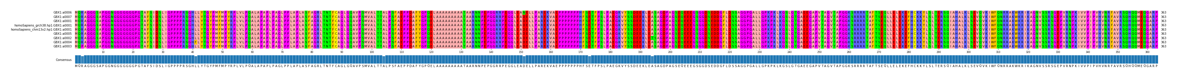 Multiple Alignments (by translate haplotype similarity)