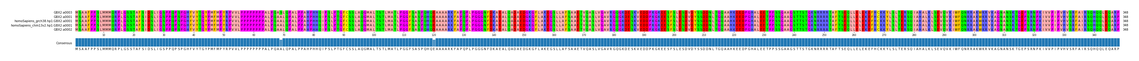 Multiple Alignments (by translate haplotype similarity)