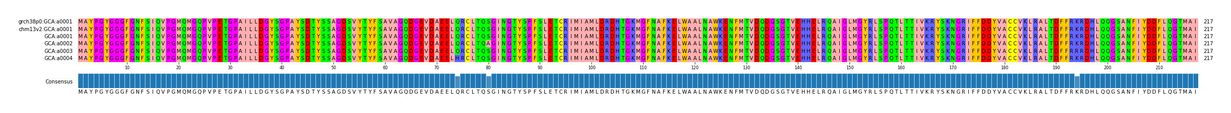 Multiple Alignments (by translate haplotype frequency)