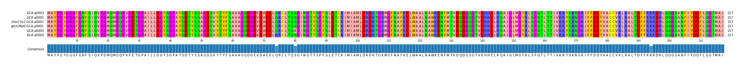 Multiple Alignments (by translate haplotype similarity)
