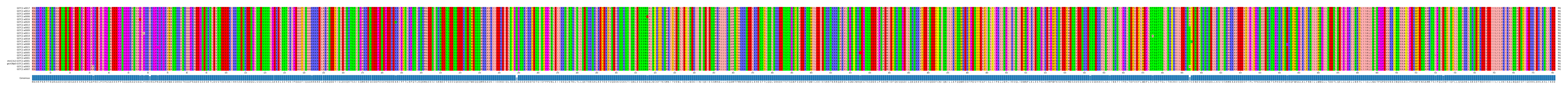 Multiple Alignments (by translate haplotype similarity)