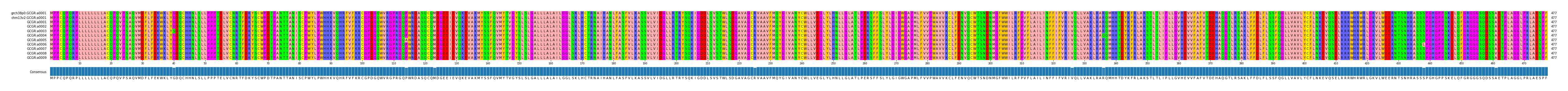 Multiple Alignments (by translate haplotype frequency)