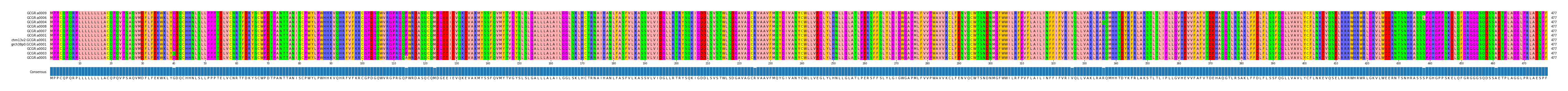 Multiple Alignments (by translate haplotype similarity)