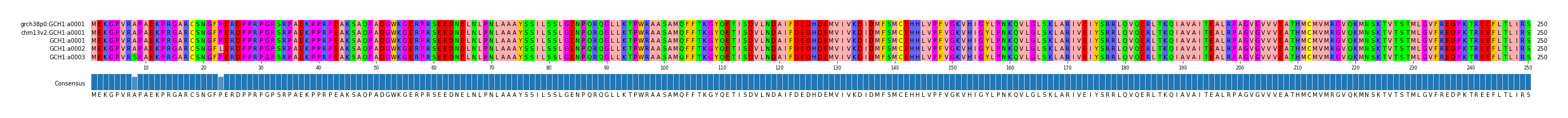 Multiple Alignments (by translate haplotype frequency)