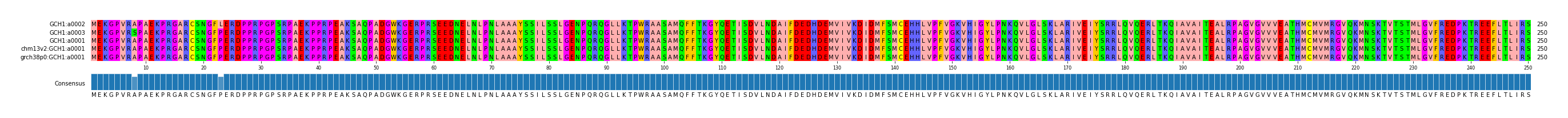 Multiple Alignments (by translate haplotype similarity)