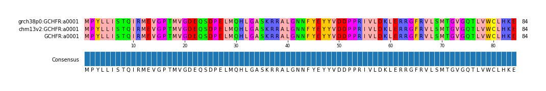 Multiple Alignments (by translate haplotype similarity)