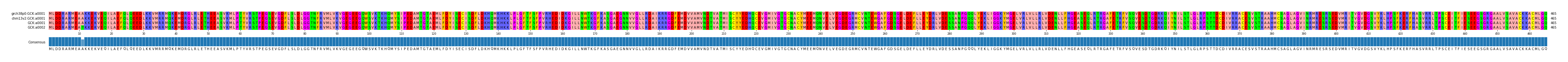 Multiple Alignments (by translate haplotype similarity)