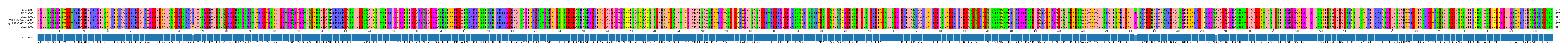 Multiple Alignments (by translate haplotype similarity)