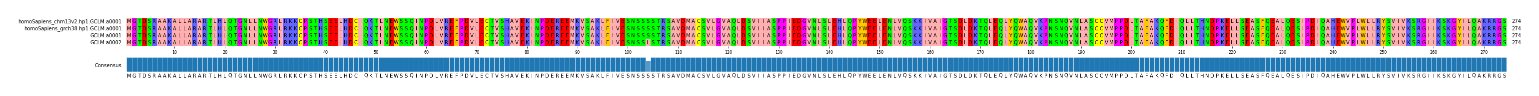 Multiple Alignments (by translate haplotype similarity)