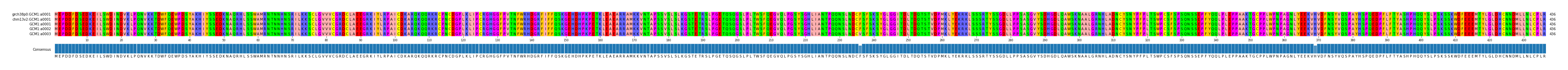 Multiple Alignments (by translate haplotype frequency)