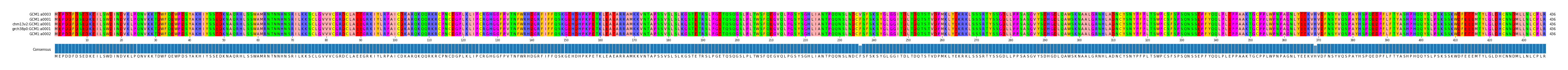 Multiple Alignments (by translate haplotype similarity)