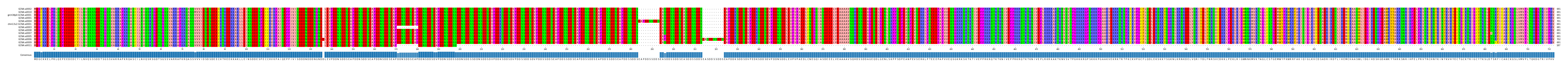Multiple Alignments (by translate haplotype similarity)