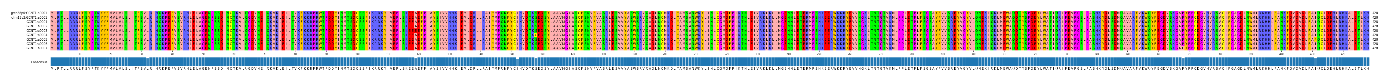 Multiple Alignments (by translate haplotype frequency)