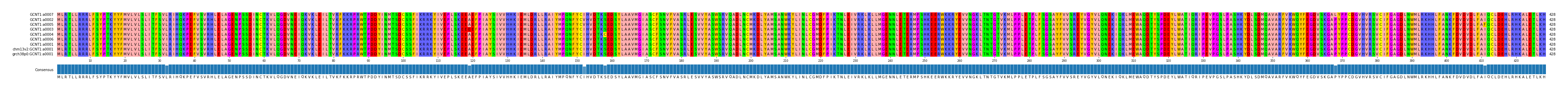 Multiple Alignments (by translate haplotype similarity)