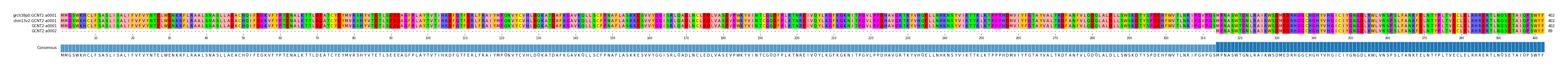 Multiple Alignments (by translate haplotype similarity)