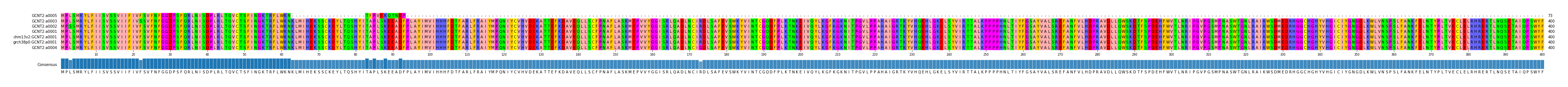 Multiple Alignments (by translate haplotype similarity)