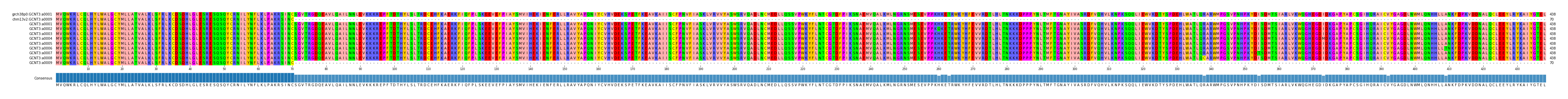 Multiple Alignments (by translate haplotype frequency)