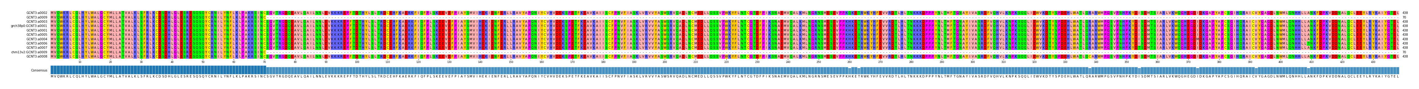 Multiple Alignments (by translate haplotype similarity)