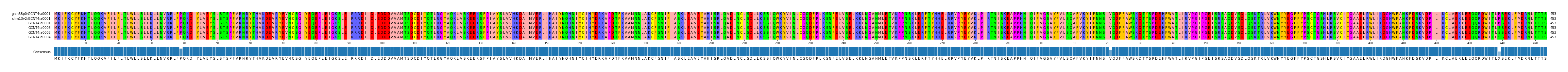 Multiple Alignments (by translate haplotype similarity)