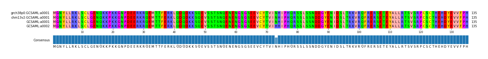 Multiple Alignments (by translate haplotype similarity)