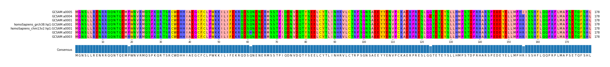 Multiple Alignments (by translate haplotype similarity)