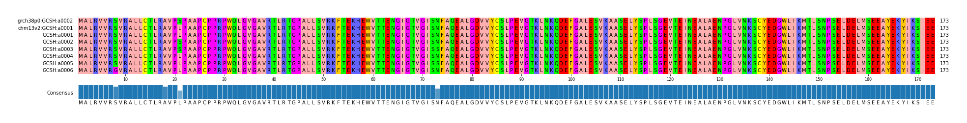Multiple Alignments (by translate haplotype frequency)