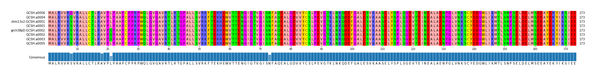 Multiple Alignments (by translate haplotype similarity)