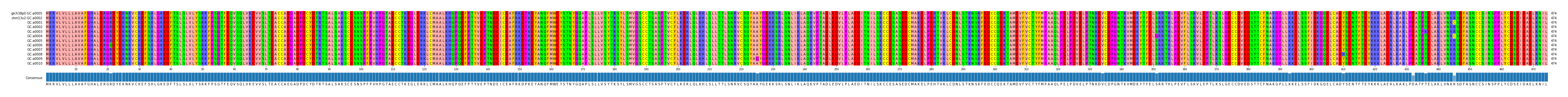 Multiple Alignments (by translate haplotype frequency)