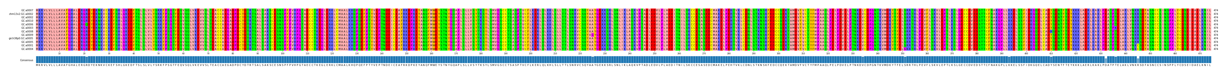 Multiple Alignments (by translate haplotype similarity)