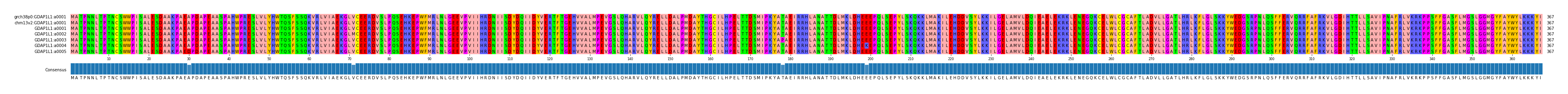 Multiple Alignments (by translate haplotype frequency)