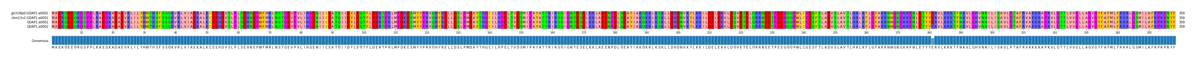 Multiple Alignments (by translate haplotype similarity)