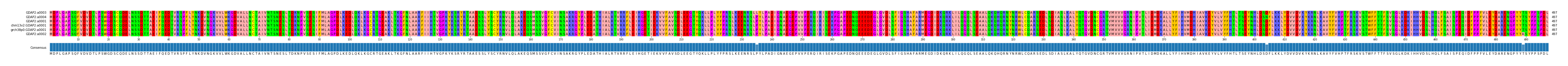 Multiple Alignments (by translate haplotype similarity)