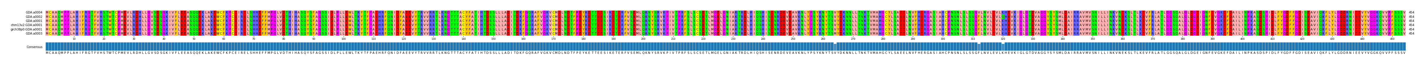 Multiple Alignments (by translate haplotype similarity)