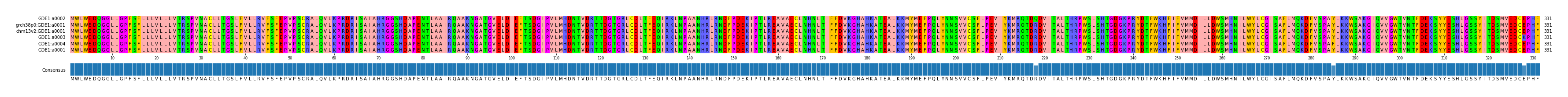 Multiple Alignments (by translate haplotype similarity)
