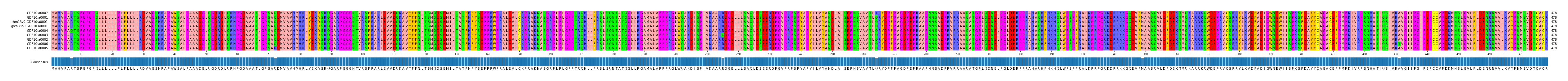 Multiple Alignments (by translate haplotype similarity)