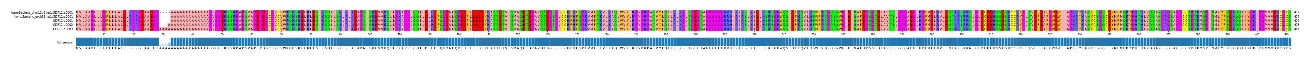 Multiple Alignments (by translate haplotype similarity)