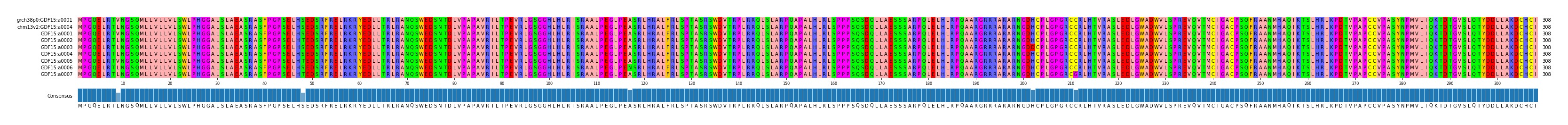 Multiple Alignments (by translate haplotype frequency)
